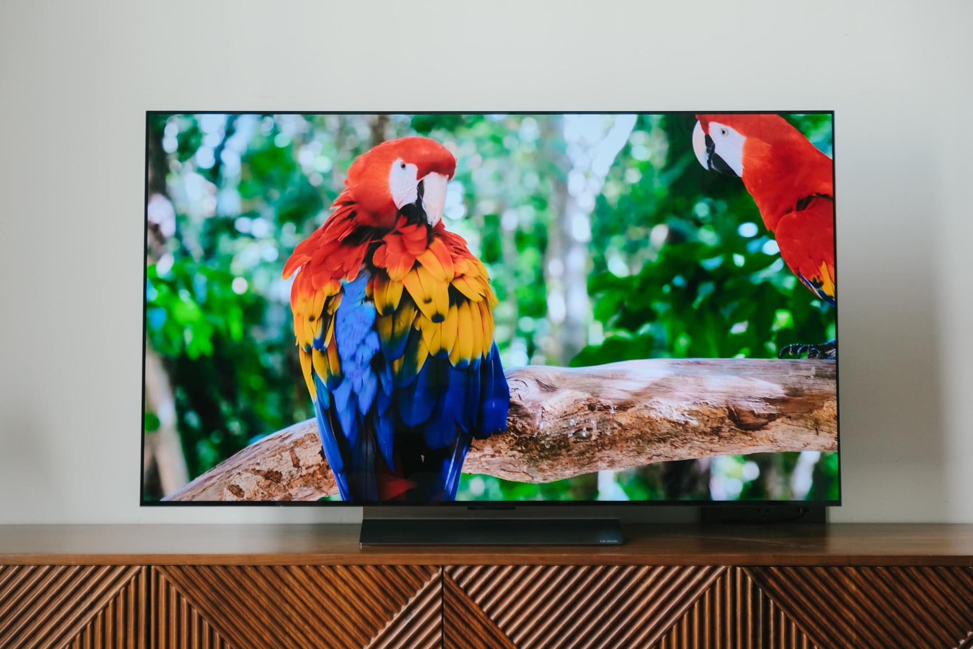 LED TV in Entertainment